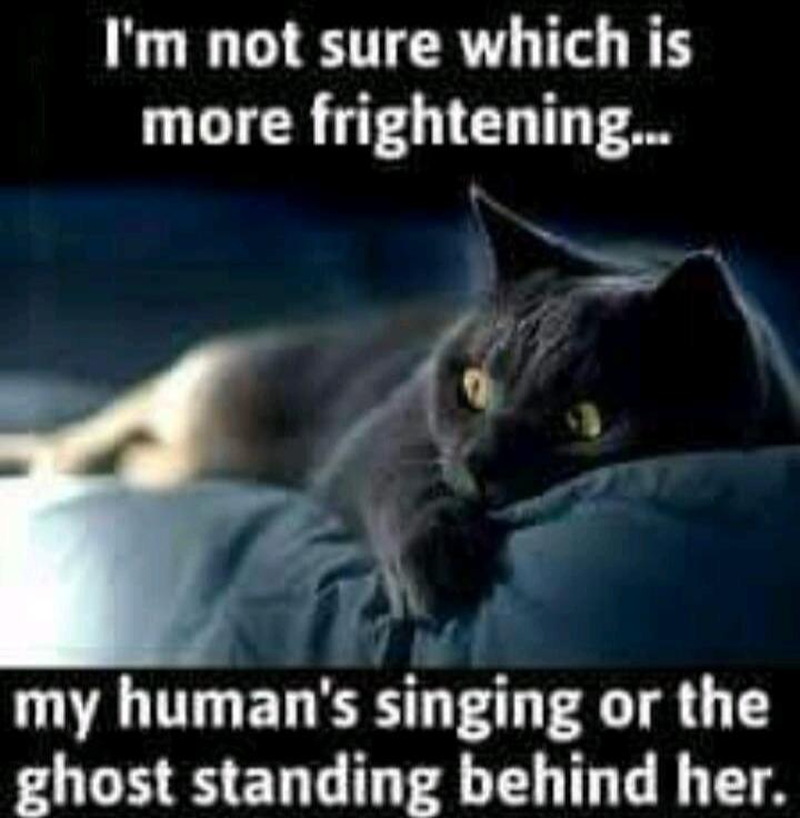 I'm not sure which is more frightening... my human's singing or the ghost standing behind her.