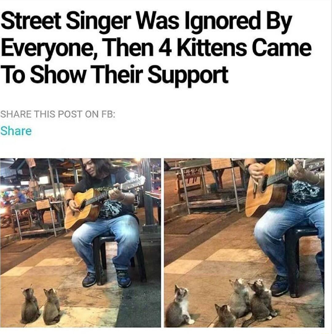 Street Singer Was Ignored By Everyone Then 4 Kittens Came To Show Their Support HARE THIS PO Share