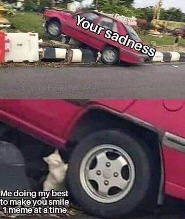 Me doing my best tomake you smile Jimemeatatime LA AU LU