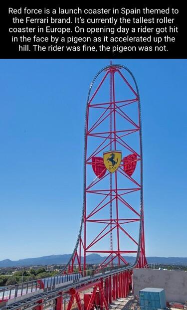 Red force is a launch coaster in Spain themed to the Ferrari brand Its currently the tallest roller LESCIALESTL NG ENL R EVERG IO in the face by a pigeon as it accelerated up the hill The rider was fine the pigeon was not