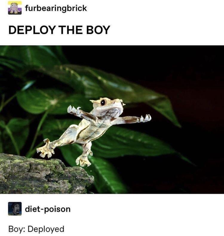 g furbearingbrick DEPLOY THE BOY B diet poison Boy Deployed