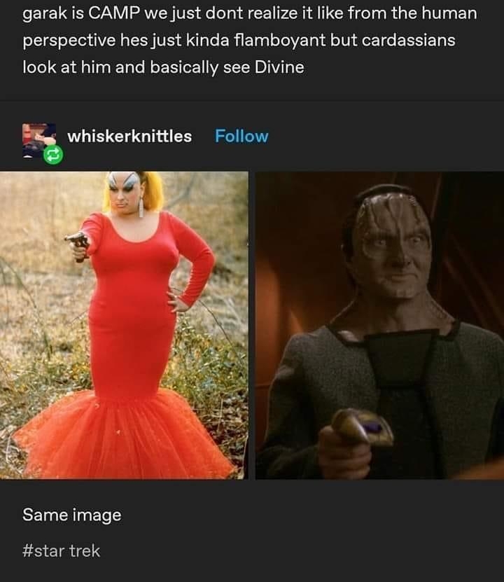 larkstonguesinaspicpart Follow garak is CAMP we just dont realize it like from the human perspective hes just kinda flamboyant but cardassians look at him and basically see Divine h whiskerknittles Follow p 7 Same image star trek