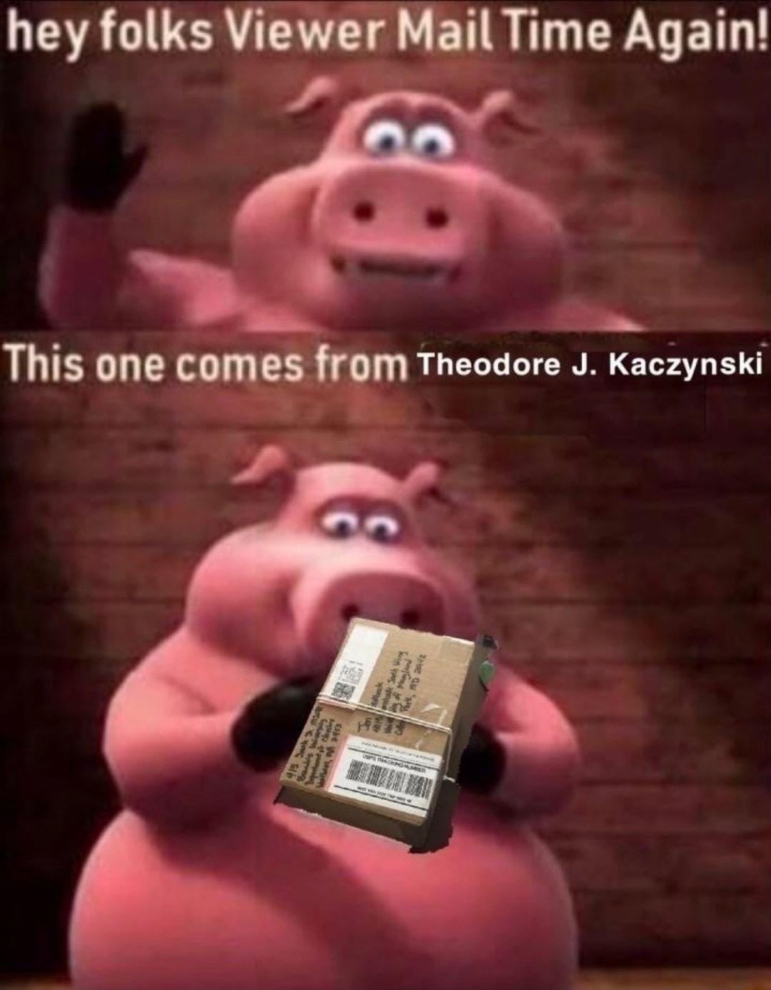 hey folks Viewer Mail Time Again This one comes from Theodore J Kaczynski