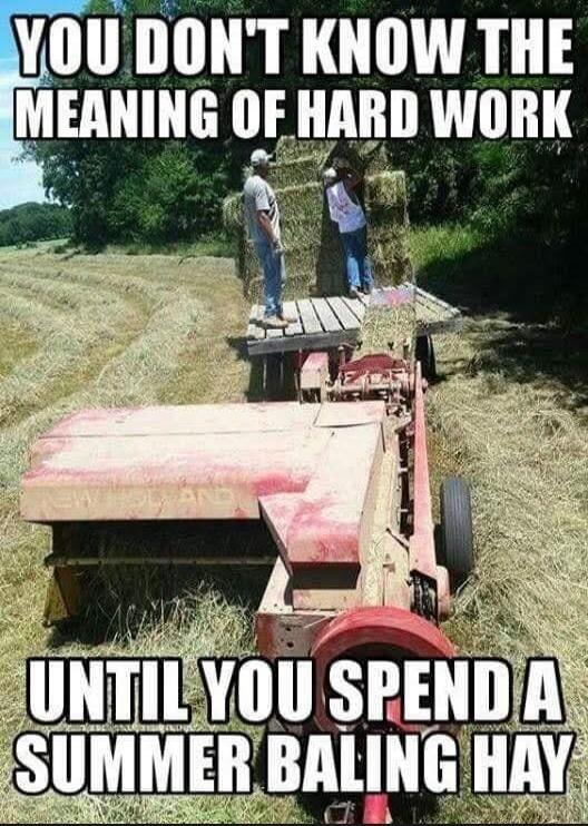 YOU DON'T KNOW THE MEANING OF HARD WORK UNTIL YOU SPEND A SUMMER BALING HAY