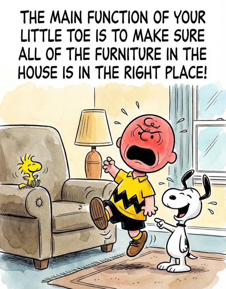 THE MAIN FUNCTION OF YOUR LITTLE TOE IS TO MAKE SURE ALL OF THE FURNITURE IN THE HOUSE IS IN THE RIGHT PLACE!
