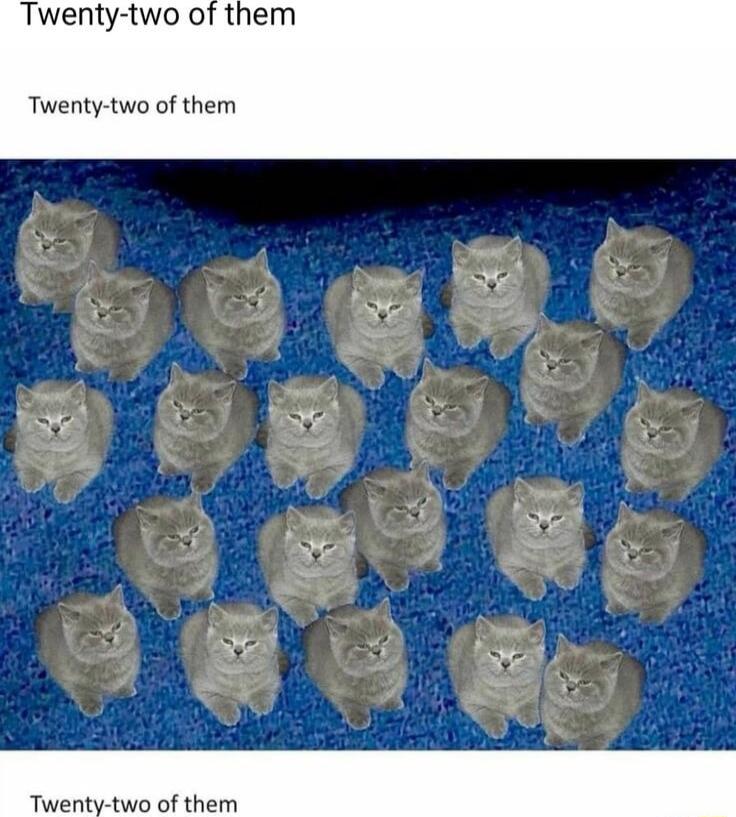 Twenty two of them Twenty two of them Twenty two of them