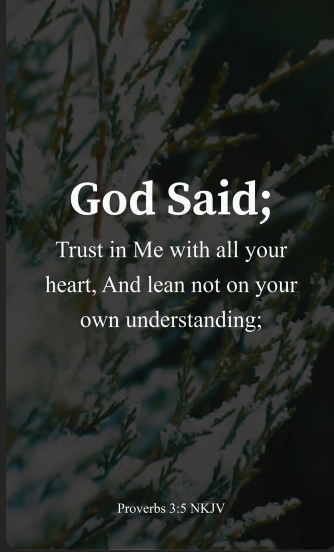 God Said; Trust in Me with all your heart, And lean not on your own understanding; Proverbs 3:5 NKJV