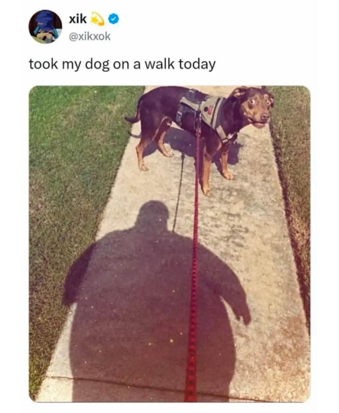took my dog on a walk today