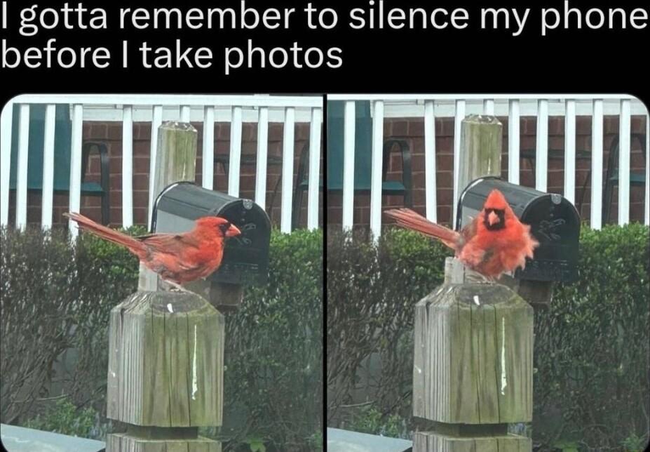 gotta remember to silence my phone before take photos