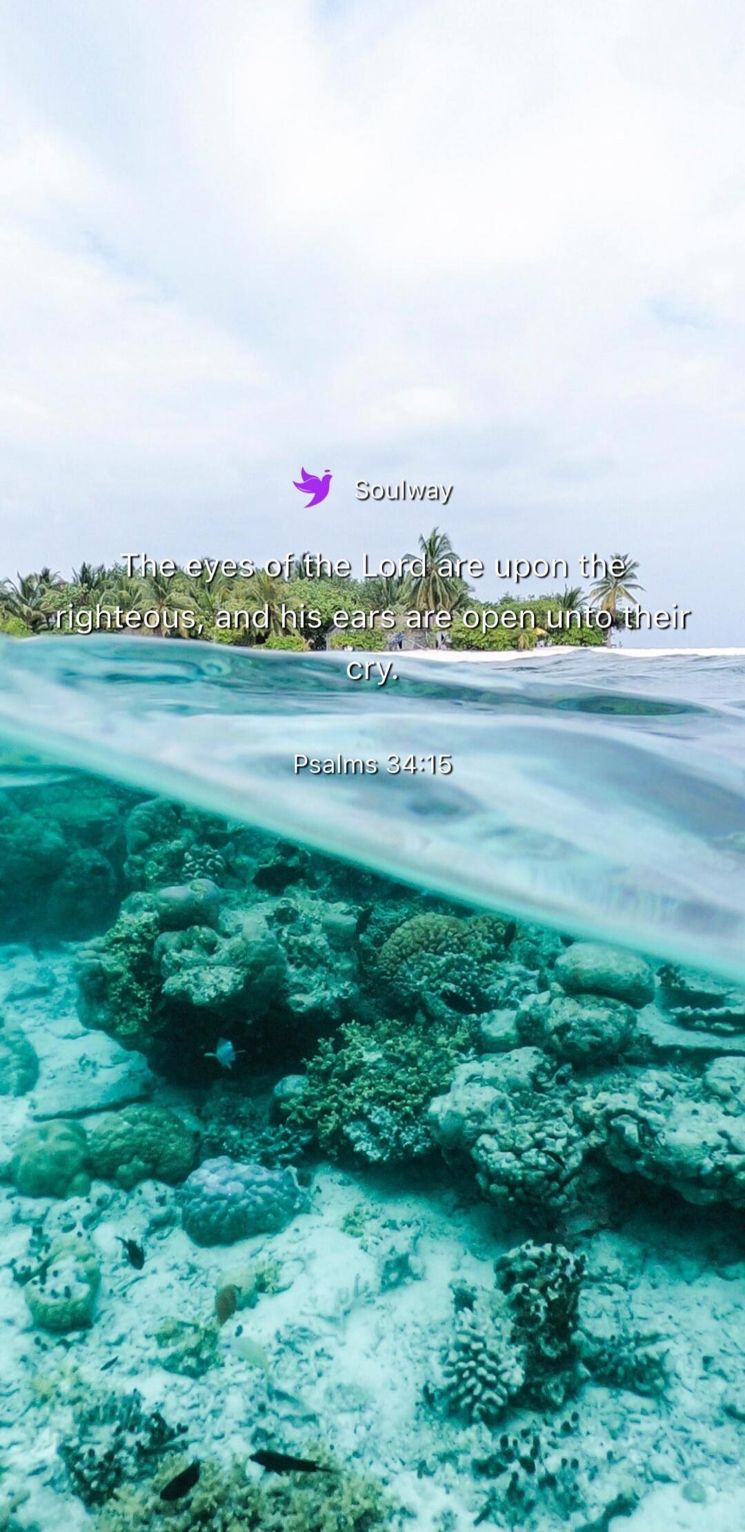 Soulway The eyes of the Lord are upon the righteous, and his ears are open unto their cry. Psalms 34:15
