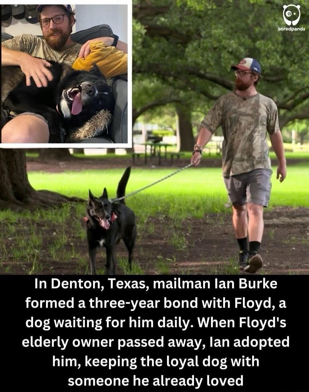 In Denton, Texas, mailman Ian Burke formed a three-year bond with Floyd, a dog waiting for him daily. When Floyd's elderly owner passed away, Ian adopted him, keeping the loyal dog with someone he already loved.