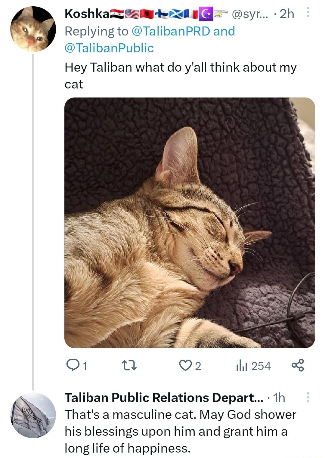 Koshkazsm r g syr 2h y Replying to TalibanPRD and TalibanPublic Hey Taliban what do yall think about my cat O1 u Q2 ihh2sa o Taliban Public Relations Depart 1h Thats a masculine cat May God shower his blessings upon him and grant him a long life of happiness