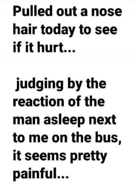 Pulled out a nose hair today to see if it hurt... judging by the reaction of the man asleep next to me on the bus, it seems pretty painful...