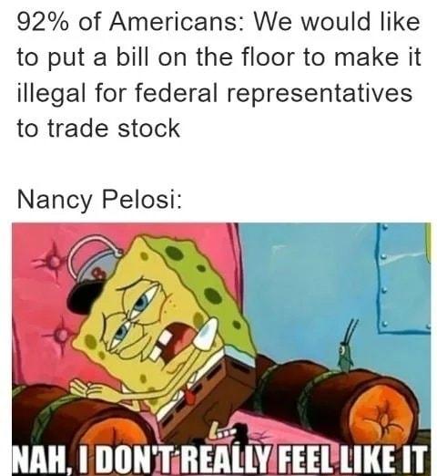 92 of Americans We would like to put a bill on the floor to make it illegal for federal representatives to trade stock Nancy Pelosi INAH DONTRERLLY FEECLIKE IT