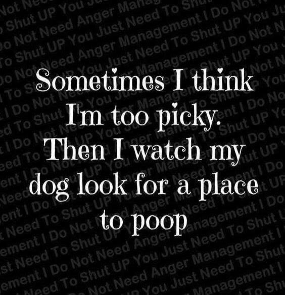 Sometimes I think I'm too picky. Then I watch my dog look for a place to poop.