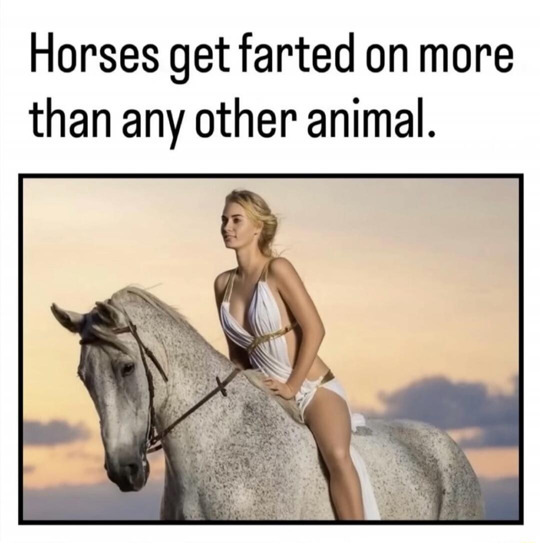 Horses get farted on more than any other animal.