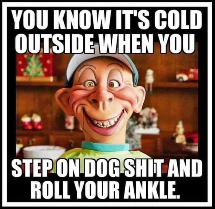 YOU KNOW ITS COLD OUTSIDEWHEN YOU L 3 g STEPONDOGSHIT AND ROLL YOUR ANKLE