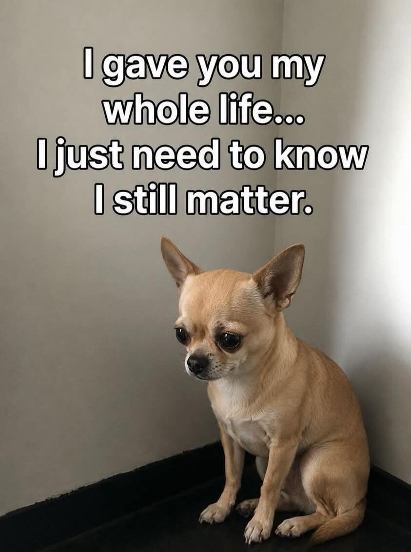 I gave you my whole life... I just need to know I still matter.