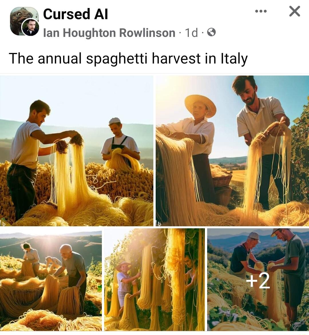 Cursed Al lan Houghton Rowlinson 1d The annual spaghetti harvest in Italy