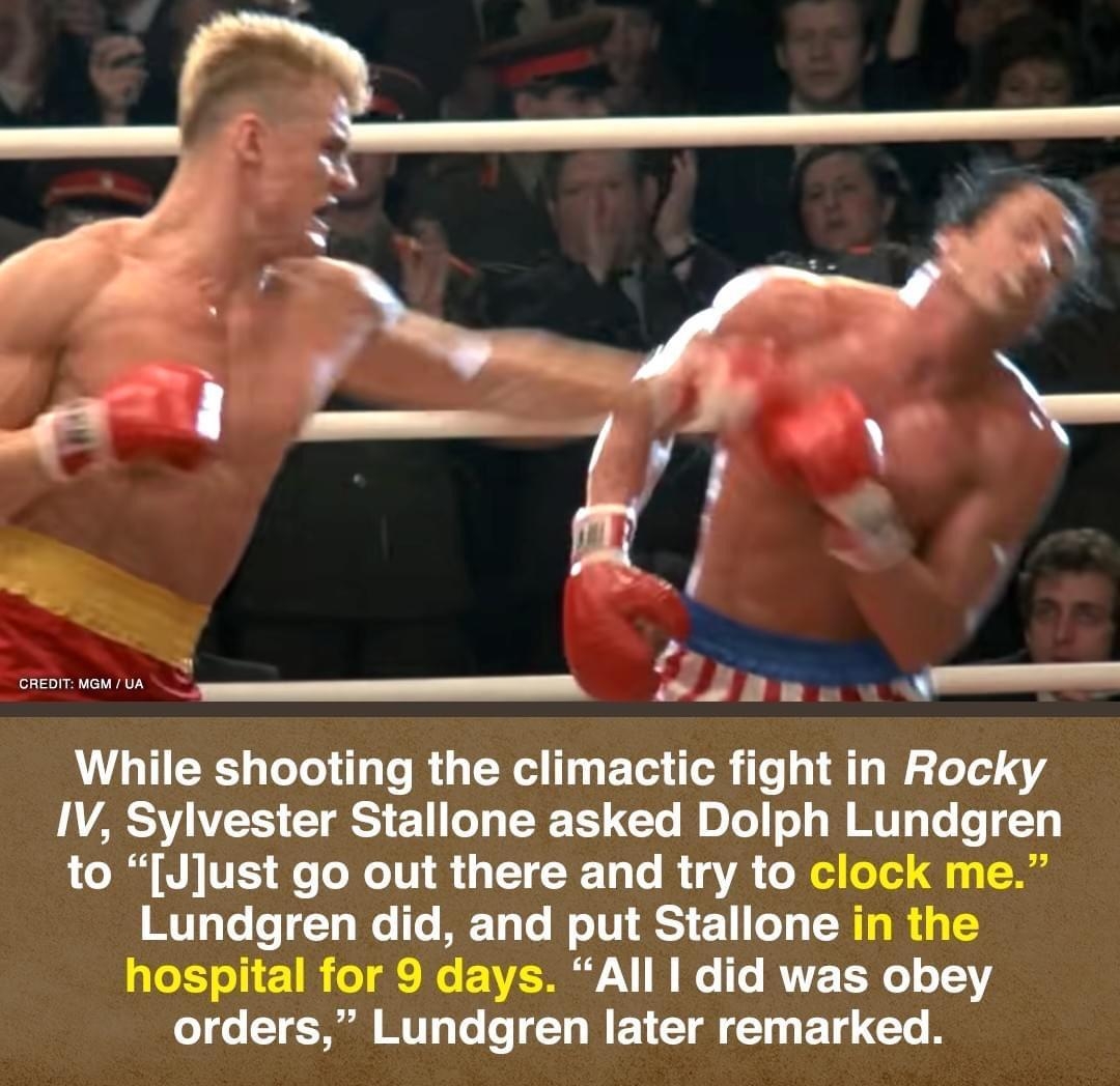 b eo Jnv While shooting the climactic fight in Rocky LAY TS 1 LT 0T To M D Jolo o W MTT o Lo o T4 o T OV VS e To Qo TV g TT 10 Lo IR gV o o oTed g 1 T MTToTe o ToWe T ME ToTo WoTUI ST 211 oT T NT g I 4 I aTe s ol i 1 I o g Mo E NVE Ty N 1B Ie To RVTE 010 1YY orders Lundgren later remarked