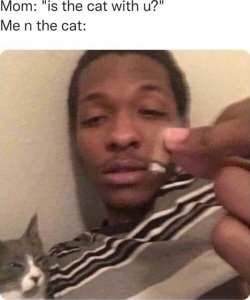 Me n the cat