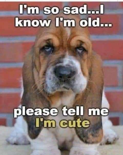 wulim so sadl__ know N m I tw e _M Iease tell me Ak