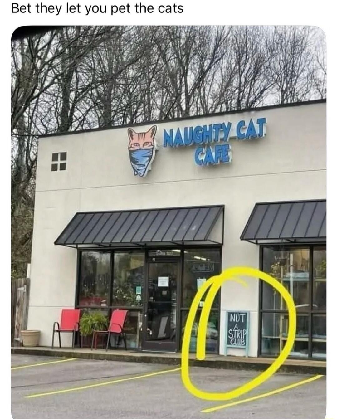 Bet they let you pet the cats. Naughty Cat Cafe. Not A Strip Club.