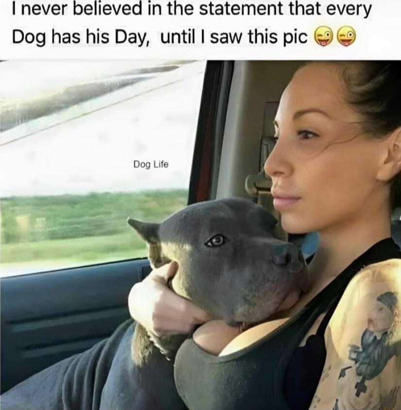 Inever believed in the statement that every Dog has his Day until saw this pic