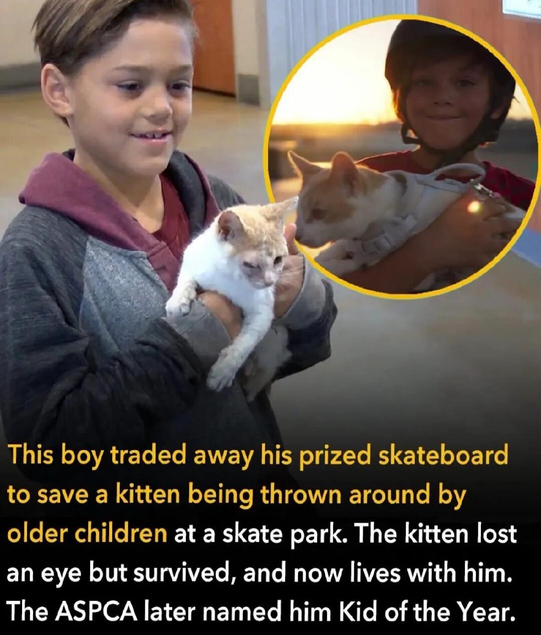 This boy traded away his prized skateboard to save a kitten being thrown around by older children at a skate park. The kitten lost an eye but survived, and now lives with him. The ASPCA later named him Kid of the Year.