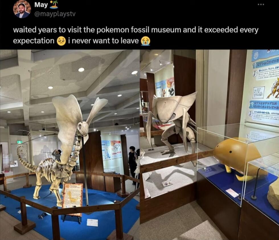 myl waited years to visit the pokemon fossil museum and it exceeded every expectation i never want to leave