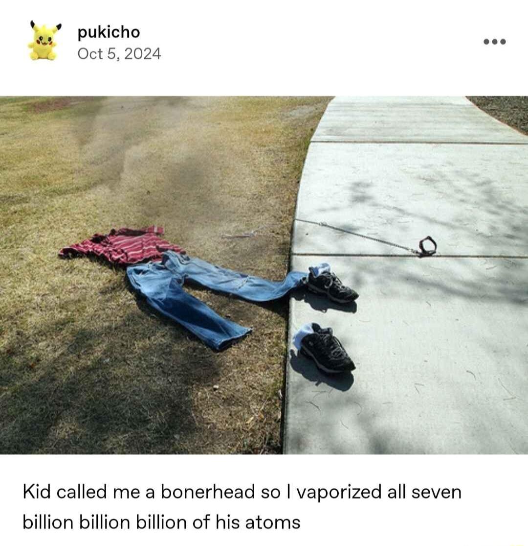 pukicho M Oct52024 Kid called me a bonerhead so vaporized all seven billion billion billion of his atoms