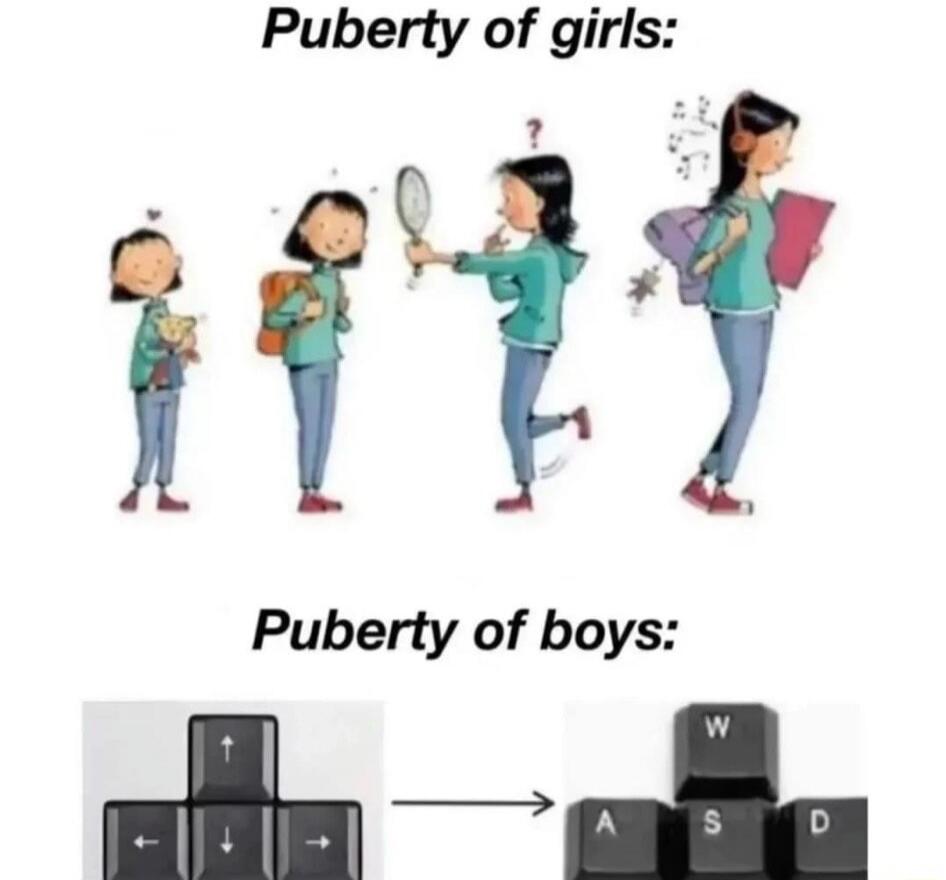 Puberty of girls:

Puberty of boys: