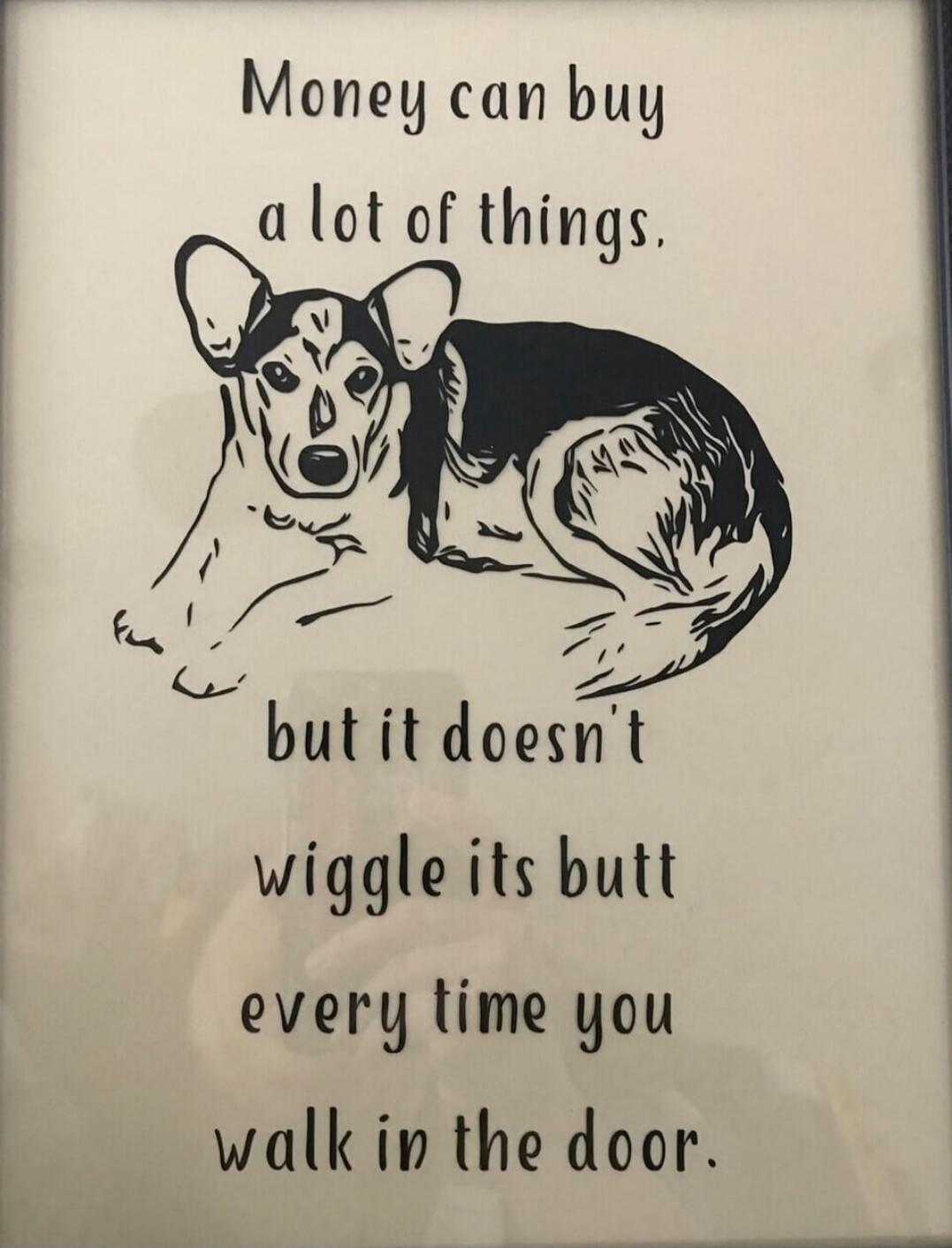 Money can buy a lot of things, but it doesn't wiggle its butt every time you walk in the door.