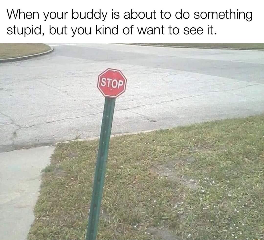 When your buddy is about to do something stupid but you kind of want to see it