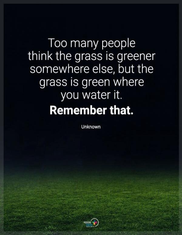 Too many people think the grass is greener somewhere else, but the grass is green where you water it. Remember that. Unknown