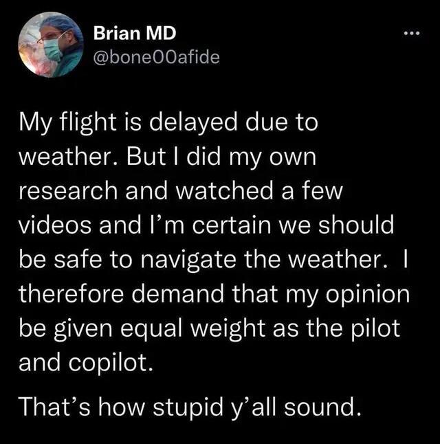 LELN D 7 bone00afide My flight is delayed due to WYL TN 101 8 e T M Ao 1NY3 CEEETC e e AVEY e T R videos and Im certain we should be safe to navigate the weather therefore demand that my opinion be given equal weight as the pilot ElaleReleolle Thats how stupid yall sound