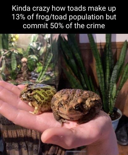 Kinda crazy how toads make up 13 of frogtoad population but commit 50 of the crime