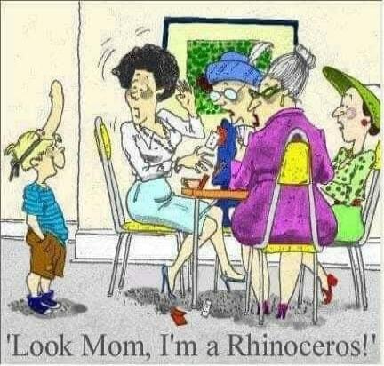 Look Mom, I'm a Rhinoceros!