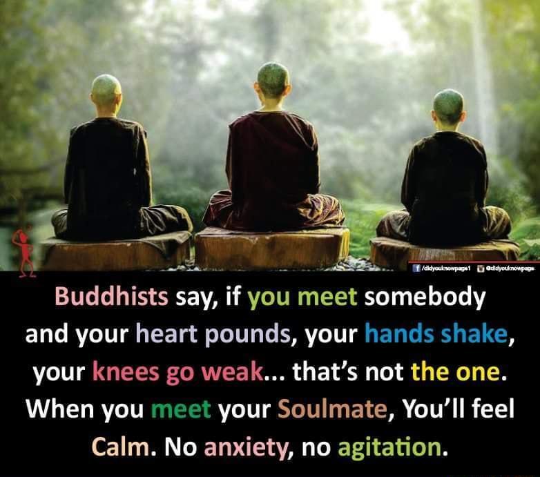 Buddhlsts say if you meet somebody and your heart pounds your hands shake your knees go weak thats not the one When you meet your Soulmate Youll feel 111 ML T VAT VA e a i