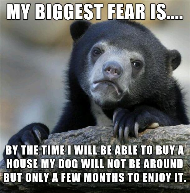 IIIII ONLY A FEW MONTHS TO ENJOY IT