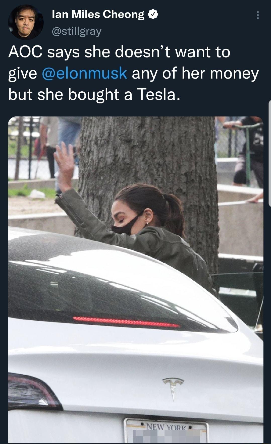 lan Miles Cheong stillgray FAXOIORF IR N o TT R ANETo 1 o give elonmusk any of her money i N M but she bought a Tesla a 244