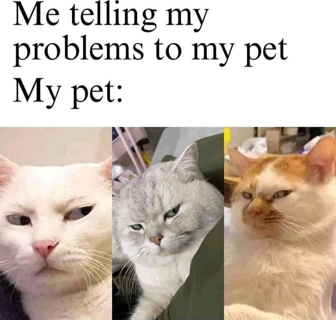 Me telling my problems to my pet
My pet: