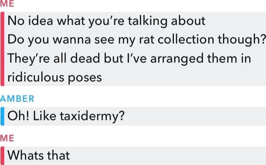 No idea what youre talking about Do you wanna see my rat collection though Theyre all dead but Ive arranged them in ridiculous poses AMBER I Oh Like taxidermy ME I Whats that