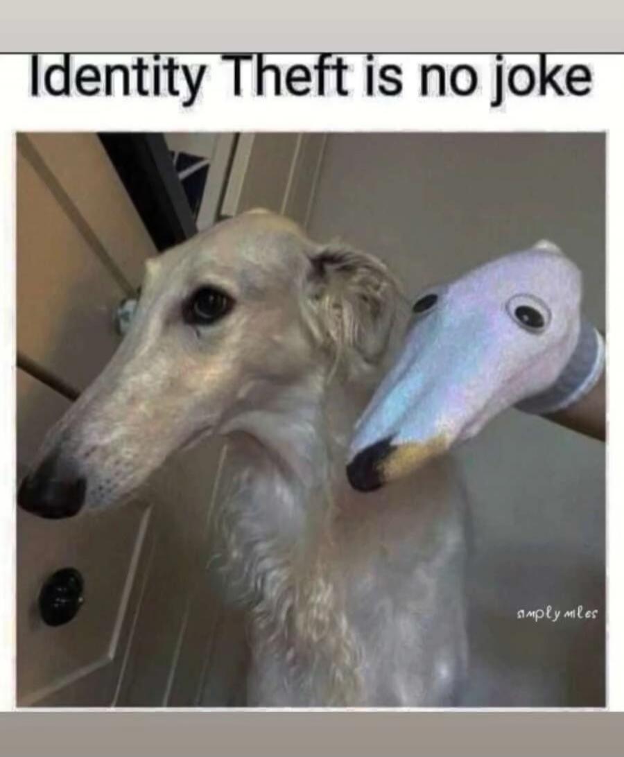 Identity Theft is no joke