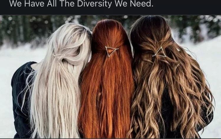 We Have All The Diversity We Need