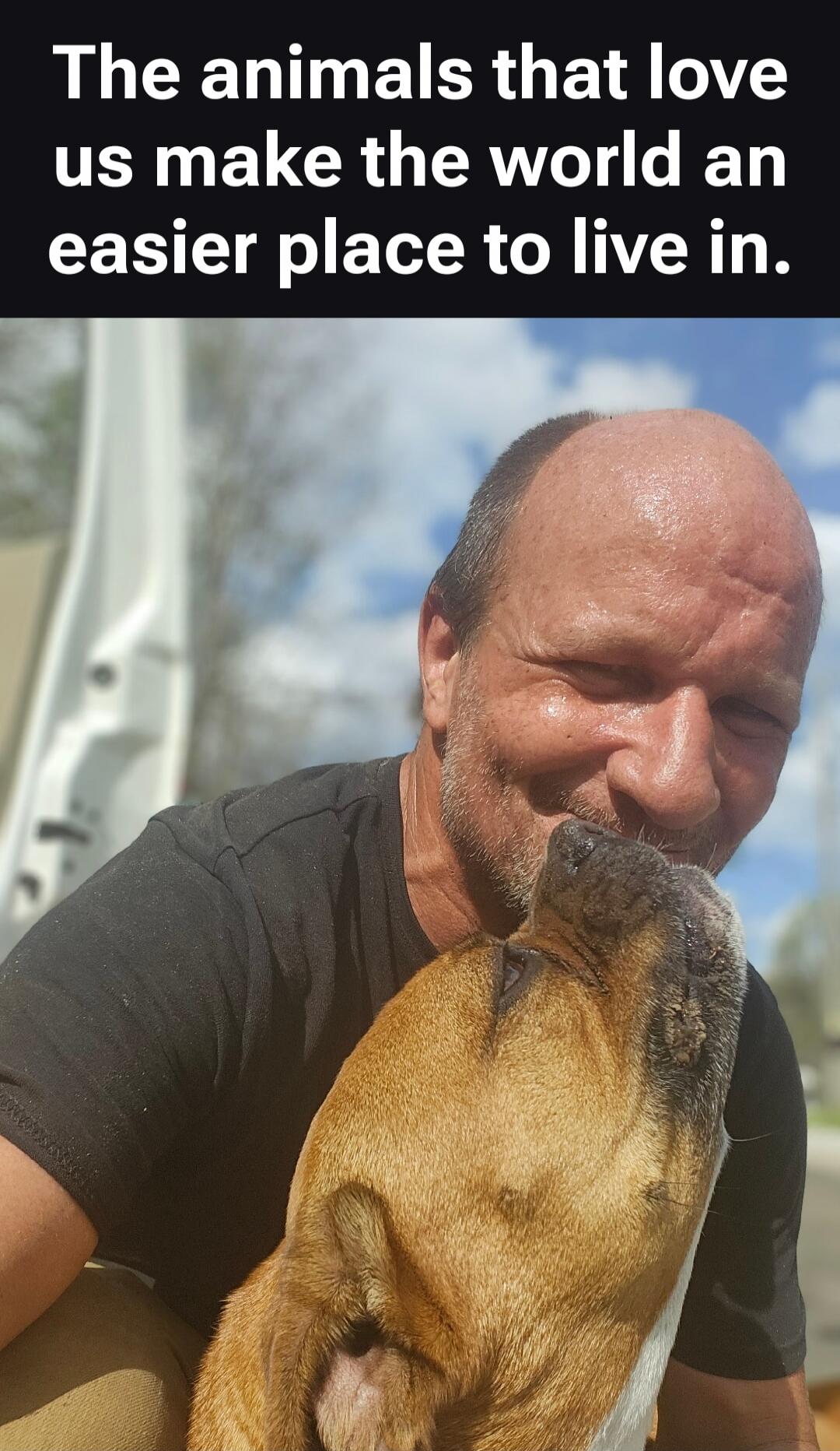 The animals that love us make the world an easier place to live in.