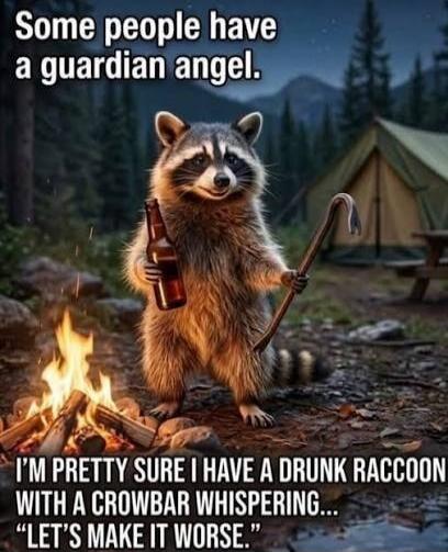 Some people have a guardian angel. I'm pretty sure I have a drunk raccoon with a crowbar whispering... 