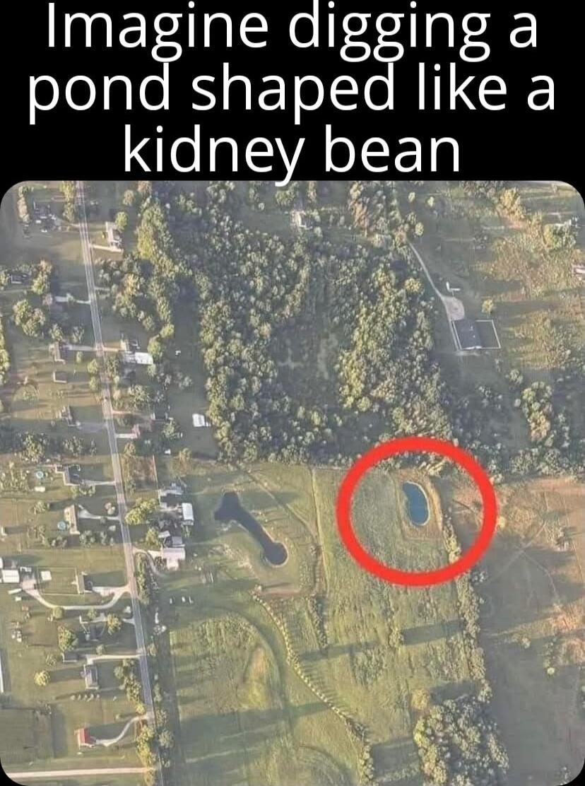 Imagine digging a oJeale RN EToIIe RIICEE kidney bean