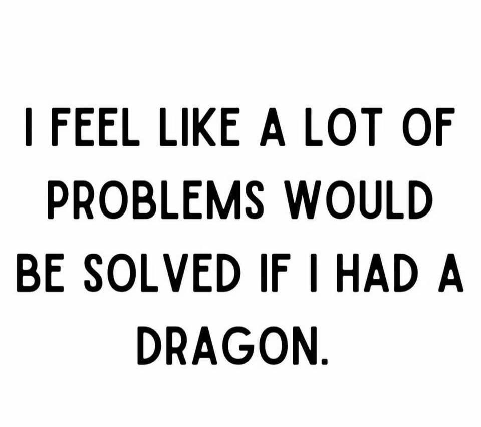 I FEEL LIKE A LOT OF PROBLEMS WOULD BE SOLVED IF I HAD A DRAGON.