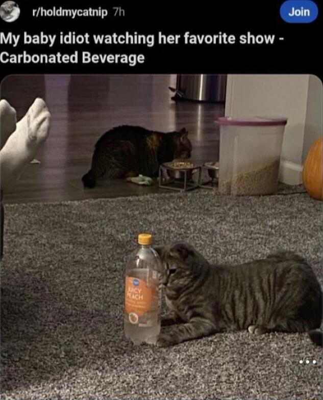 o IR Join VL ELIAG I RVETE T I T T G LT Carbonated Beverage